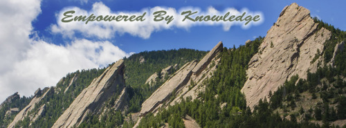 Welcome Dr Arielle Schwartz