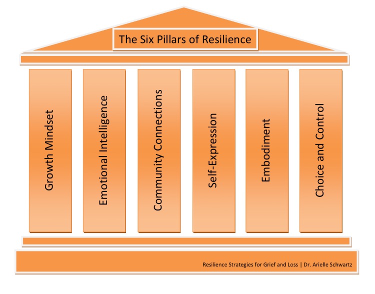 6 Pillars of Resilience Dr. Arielle Schwartz