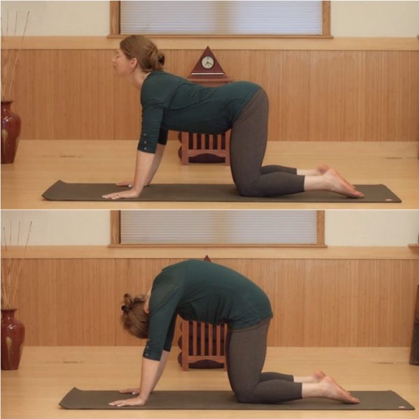 Vagus Nerve Yoga for Balance Dr. Arielle Schwartz