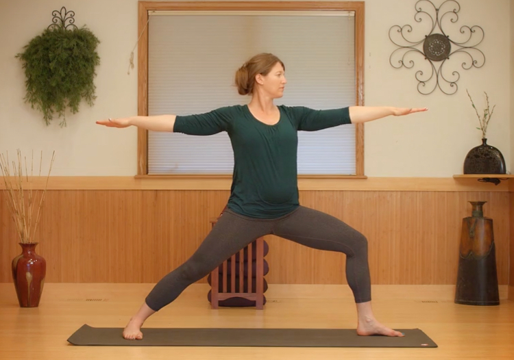 Vagus Nerve Yoga Dr. Arielle Schwartz